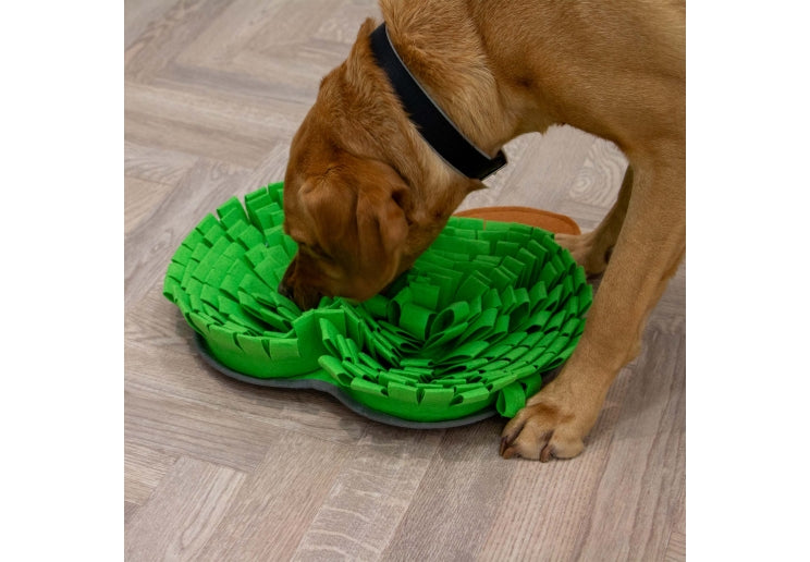 Ancol Orva Snuffle Apple