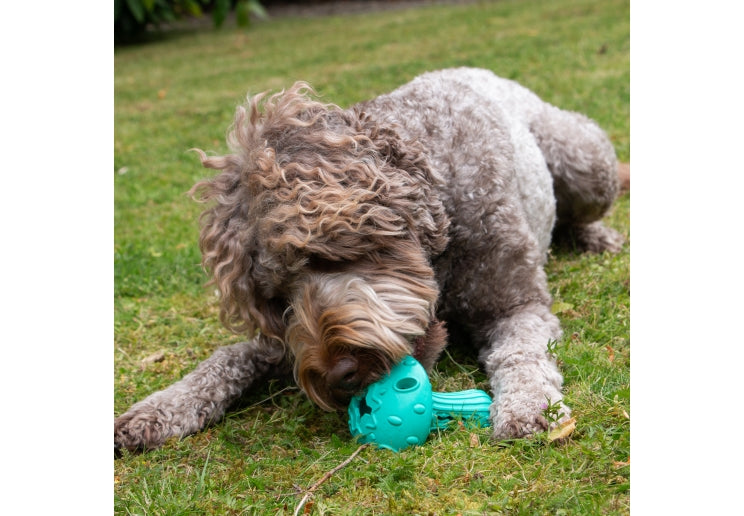 Ancol Orva Mushroom Treat Toy