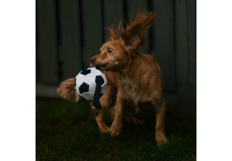 Ancol Chase Grab Tabs Football