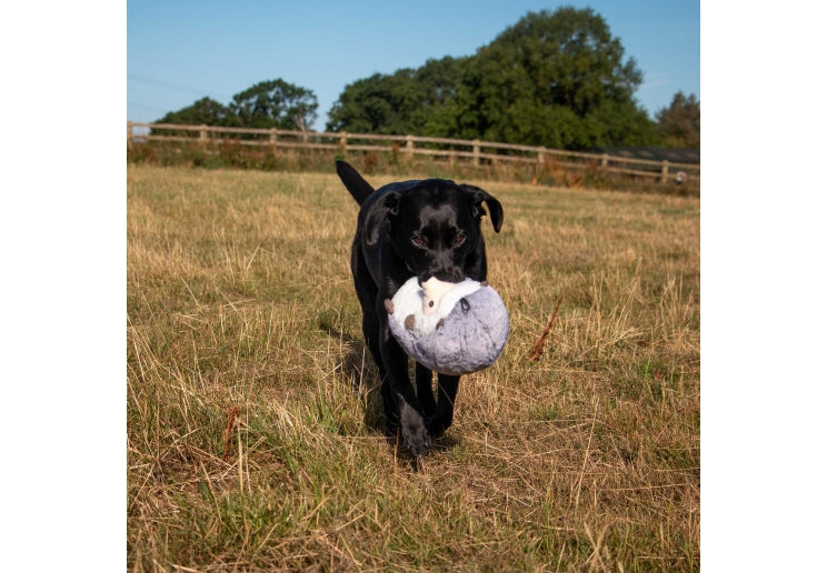 Ancol Heritage Harry Hedgehog Toy