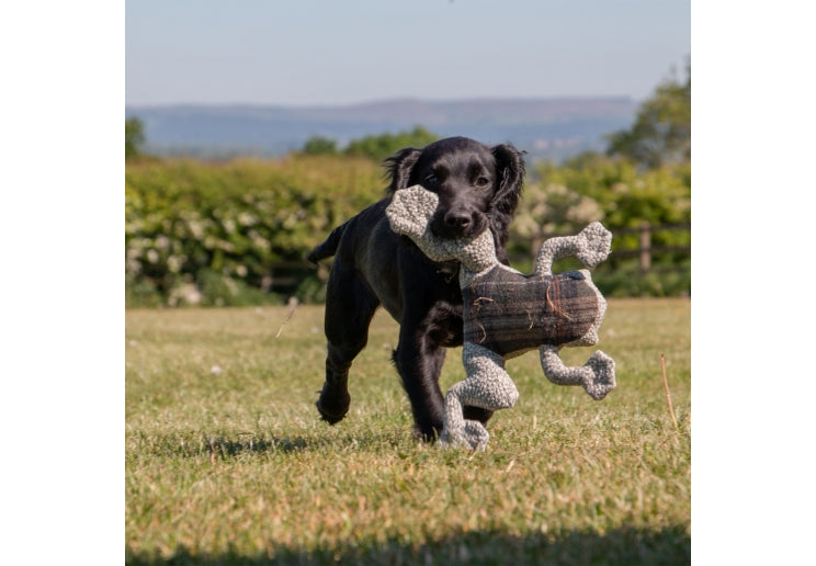 Ancol Heritage Midi Toby Toad Toy