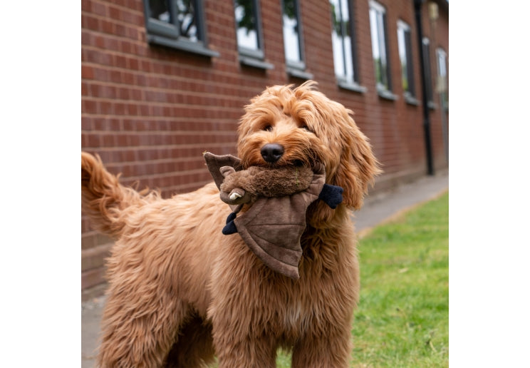 Ancol Heritage Midi Barnaby Bat Toy