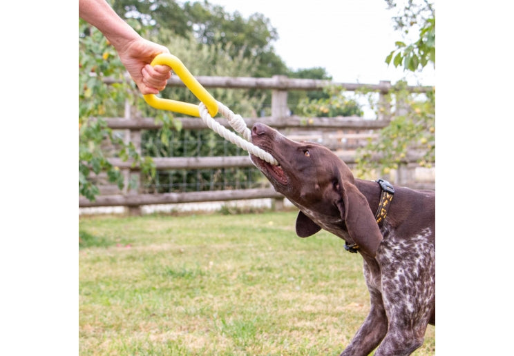 Ancol Playtime Natural Ropey Triangle Yellow