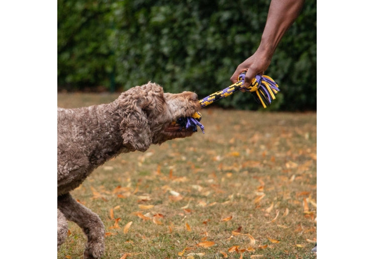 Ancol Playtime Tricoloured T-Shirt Rope Tug