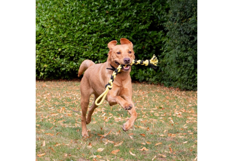 Ancol Playtime Bumble Bee Ropey Twist