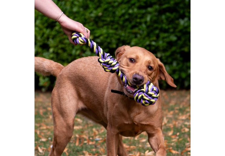 Ancol Playtime Tricoloured Jumbo Rope Tugger