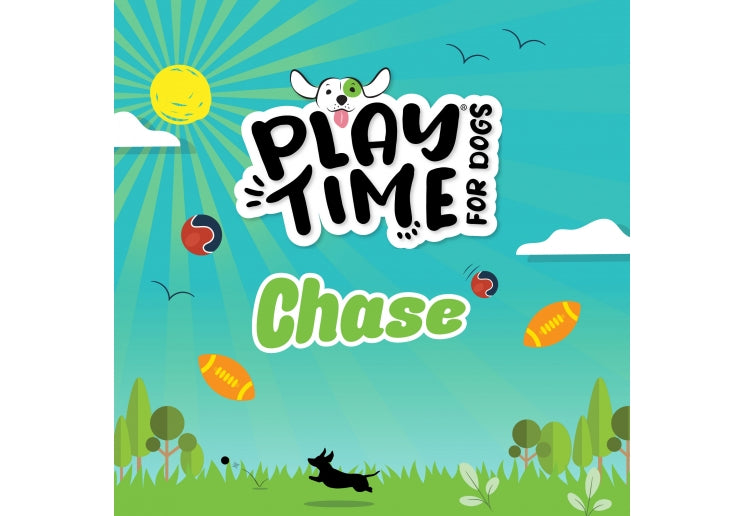 Ancol Playtime Chase Tough Rubber Ball