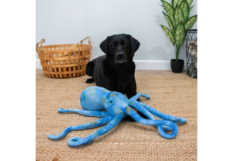 Ancol Cuddle Phil the Kraken Toy