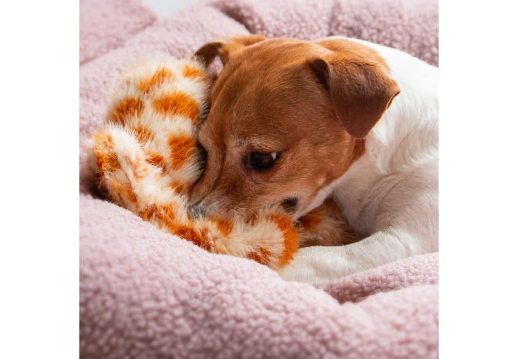 Ancol Cuddle Giraffe Floppet Toy