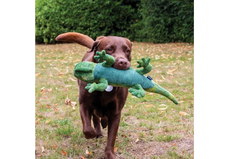 Ancol Cuddle Iguana Lizard Toy