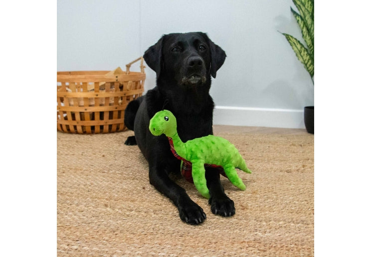 Ancol Lottie the Loch Ness Monster