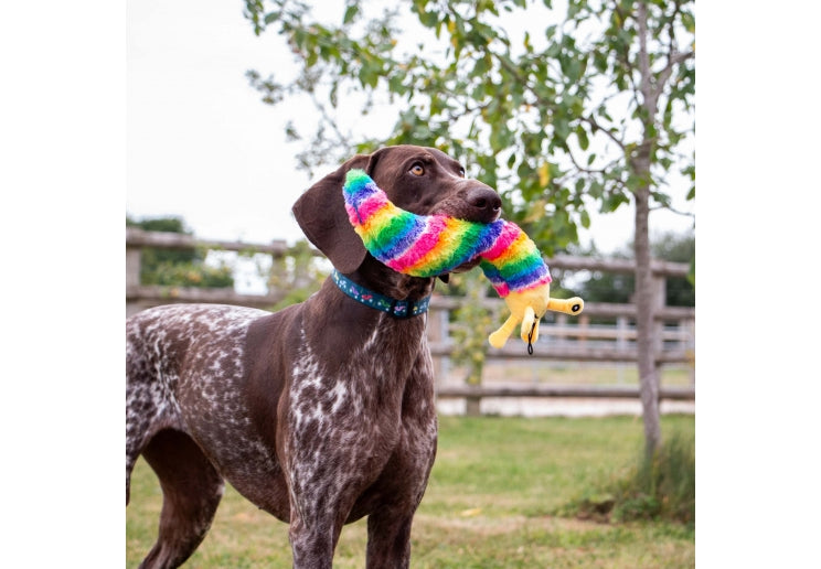 Ancol Cuddle Psychedelic Slug Toy