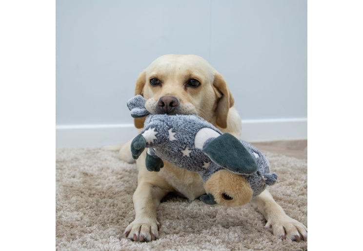 Ancol Cuddle Glow in the Dark Owl