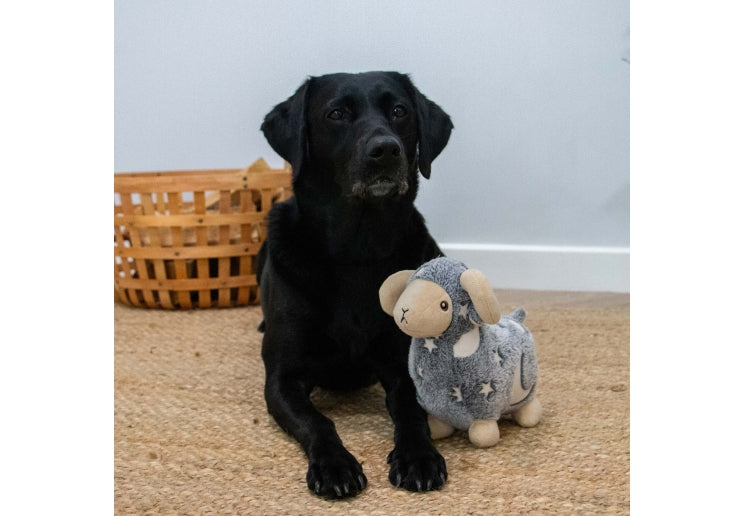 Ancol Cuddle Glow in the Dark Sheep