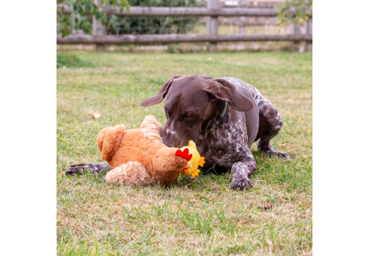 Ancol Cuddle Hettie Hen & Chick