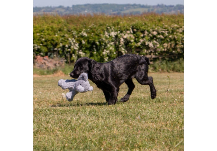 Small Bite Elephant Plush