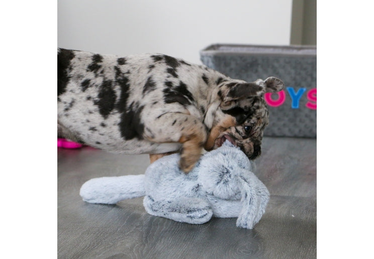 Small Bite Bunny Plush