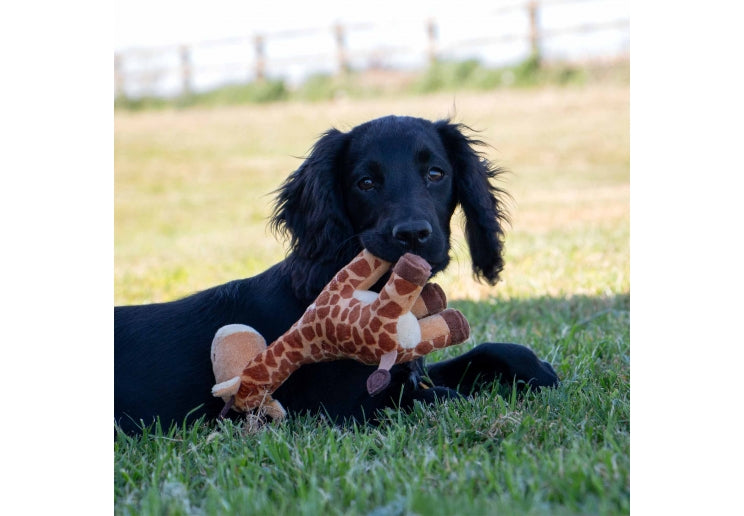 Small Bite Giraffe Plush