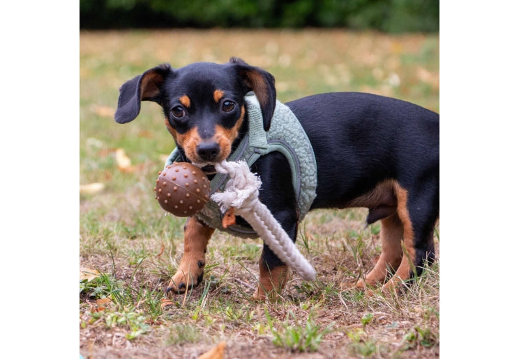 Small Bite Coffee Ground Ball