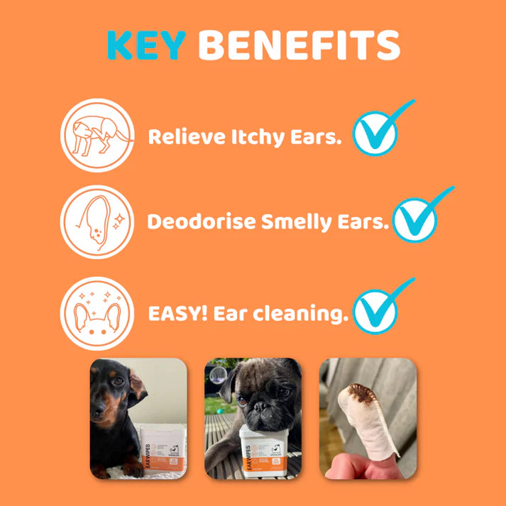 Dogslife Ear Wipes - 50 Pack