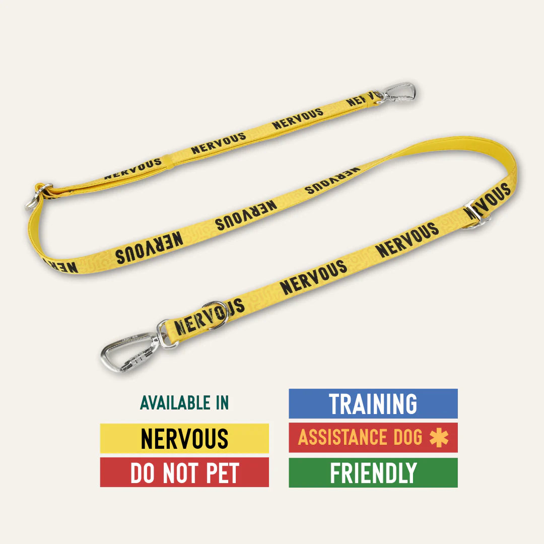Twiggy Tags Awareness Multiway Lead - Nervous