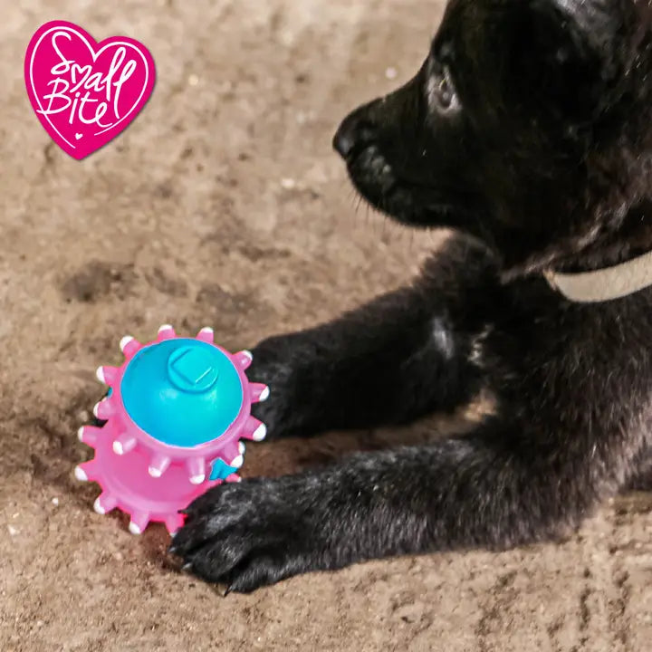 Small Bite Vinyl Puppy Selection 4pc