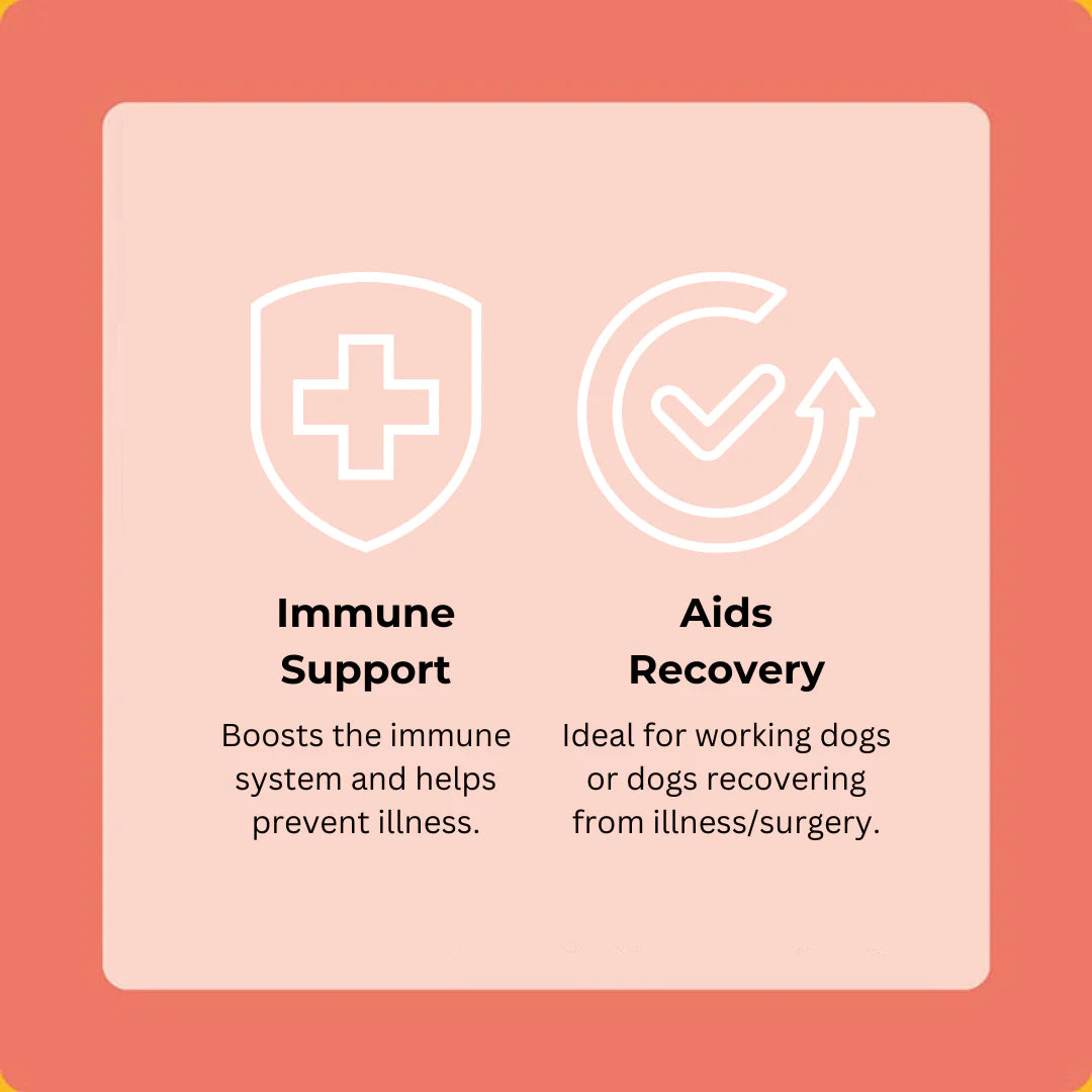 Axels Elixir Venison Happy Bones