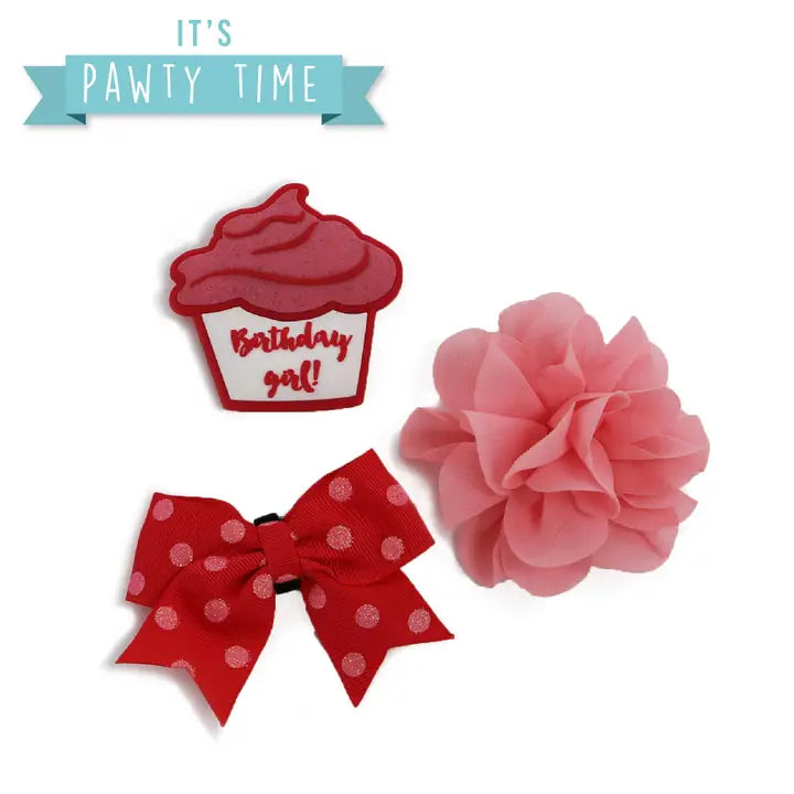 Ancol Birthday Collar Accessories Pink