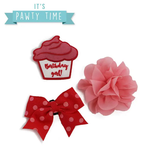 Ancol Birthday Collar Accessories Pink