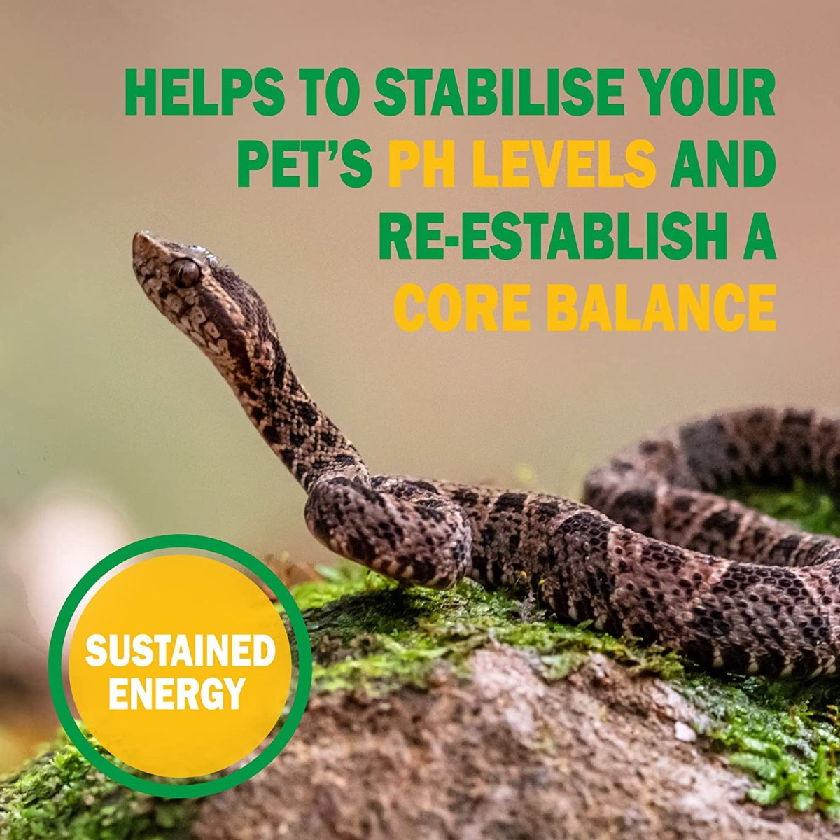 Vetark Reptile ReptoBoost 100g