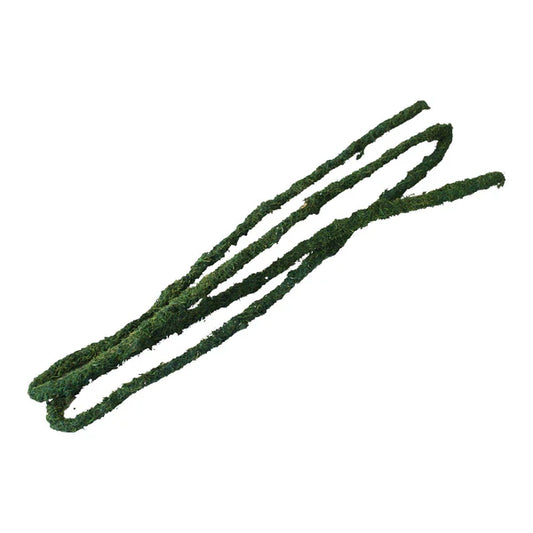 Komodo N Tropical Vine - Lge (1.8mx20mm)