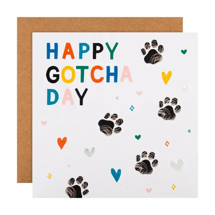 Hallmark Follow Suit Happy Gotcha Day Card