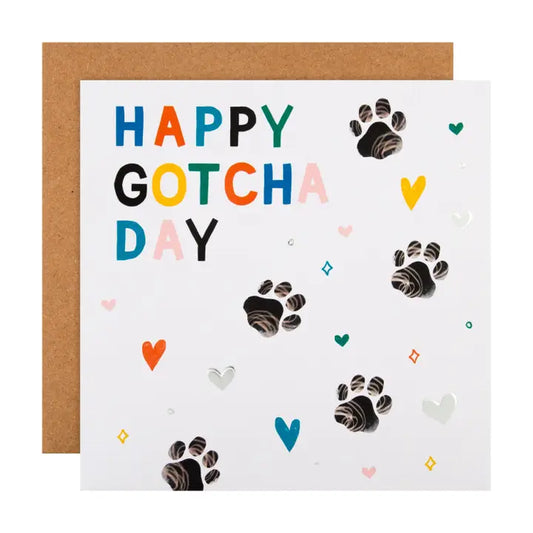 Hallmark Follow Suit Happy Gotcha Day Card