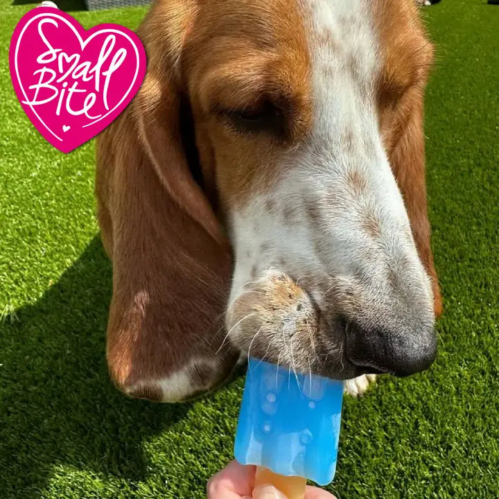 Small Bite Ice Teethers