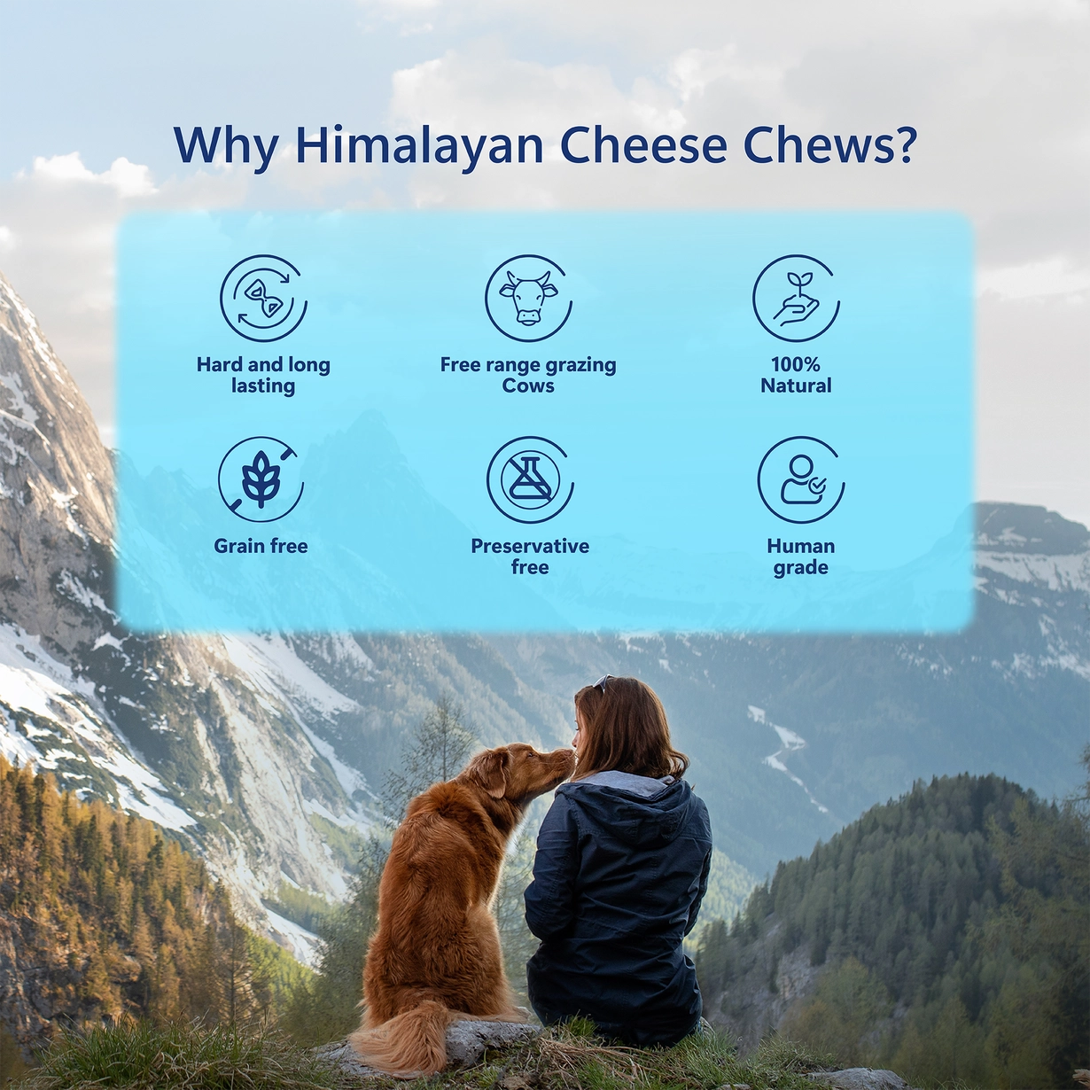 Pawfect Himalayan Yak Chew Mango