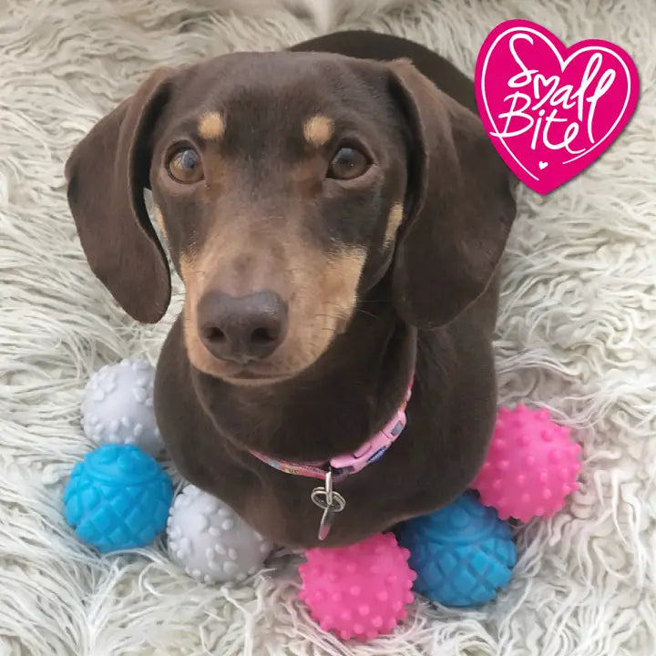 Small Bite Vinyl Balls Small 6pc