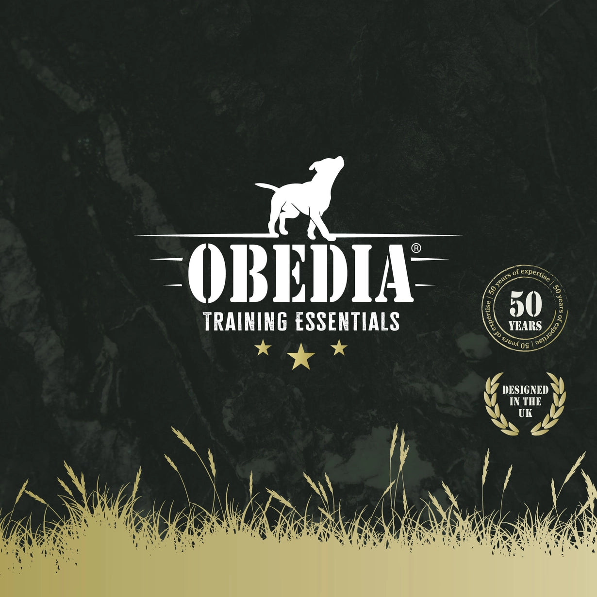 Ancol Obedia Training Line