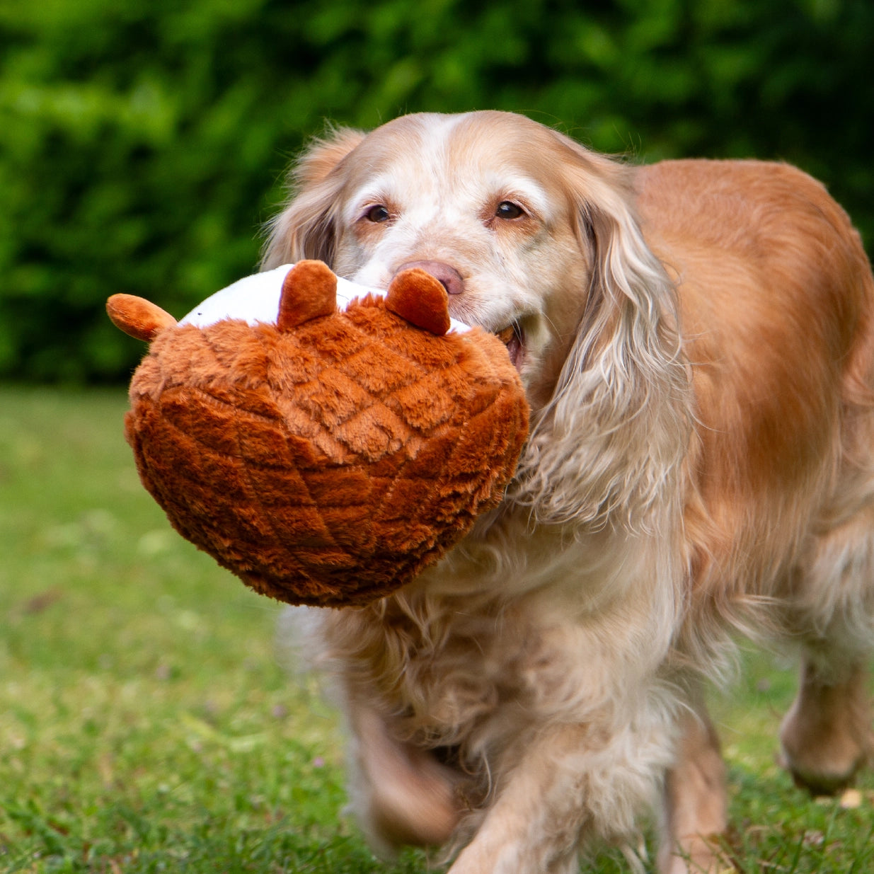 Ancol Cuddle Quilted Woodland Animals