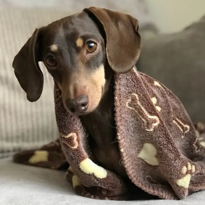 Ancol Comfort Blanket Brown