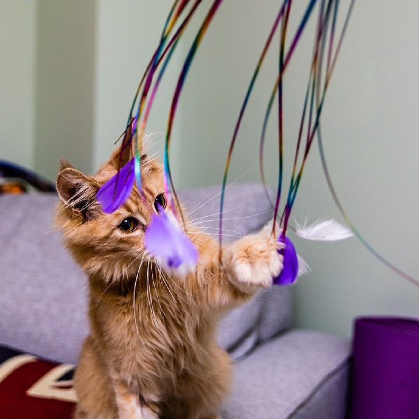 Ancol Rainbow Feather Cat Teaser