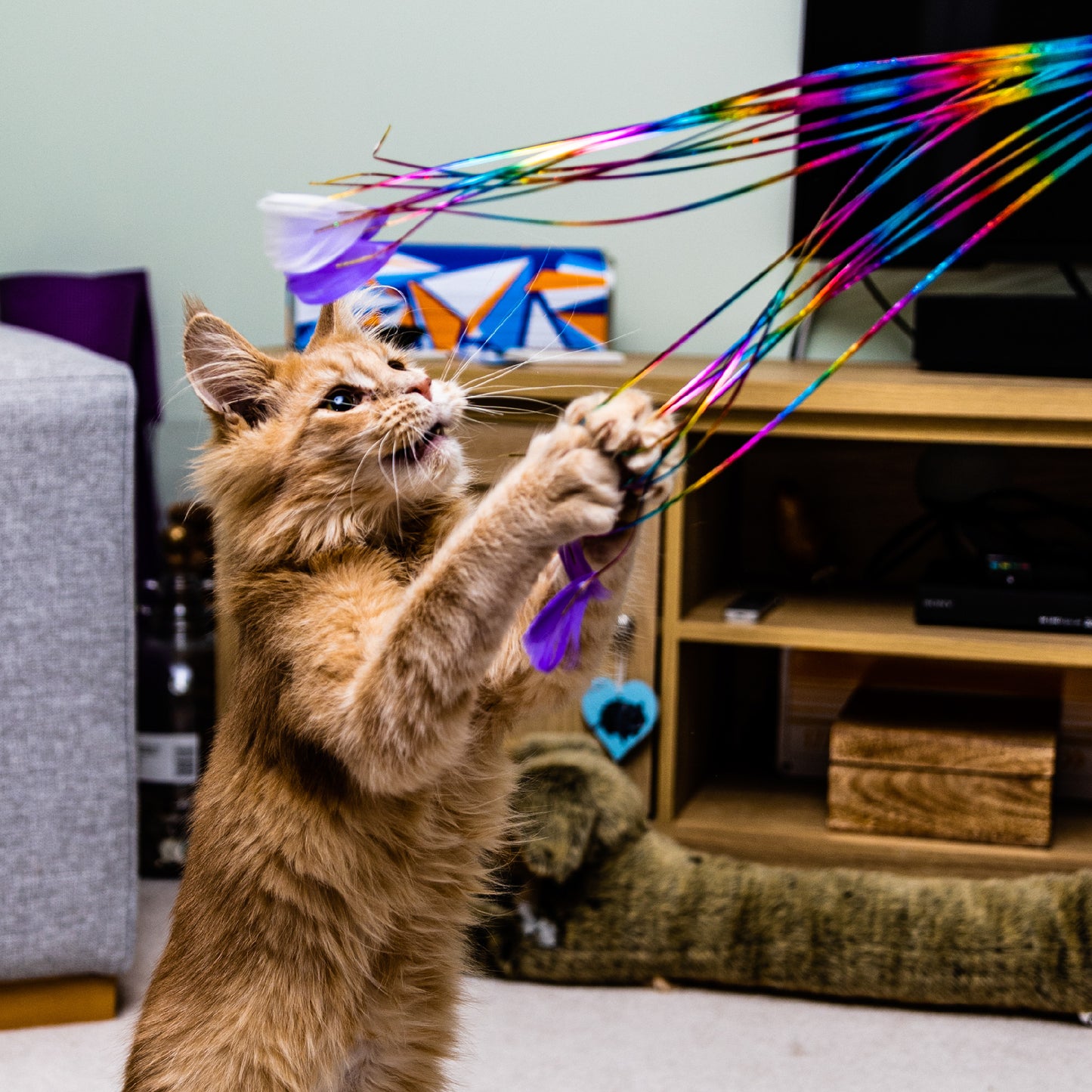Ancol Rainbow Feather Cat Teaser