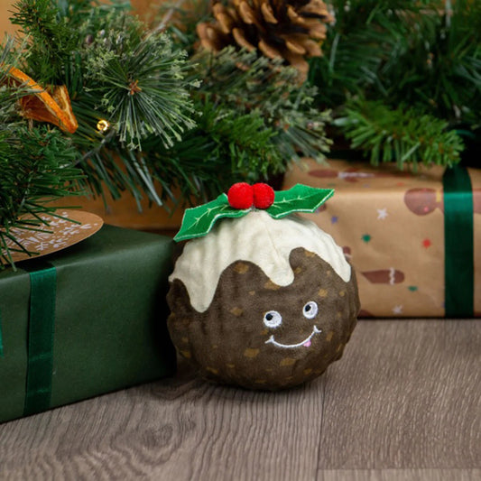 Ancol Bouncing Colin Jr Toy