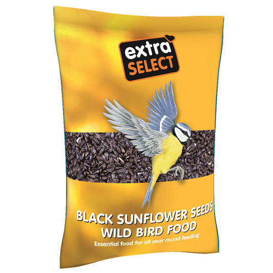 Extra Select Black Sunflower Seed 1kg