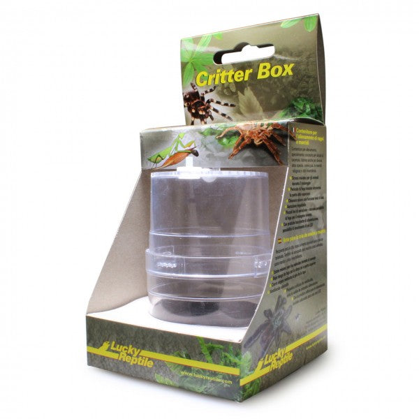 Lucky Critter Box Plastic Terrarium Large 19x11cm