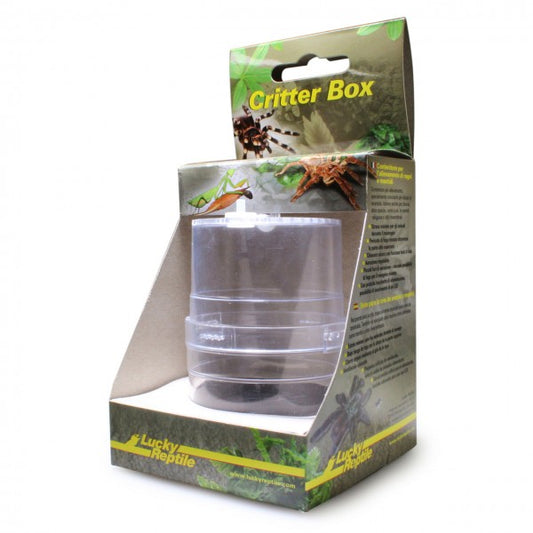 Lucky Critter Box Plastic Terrarium Large 19x11cm