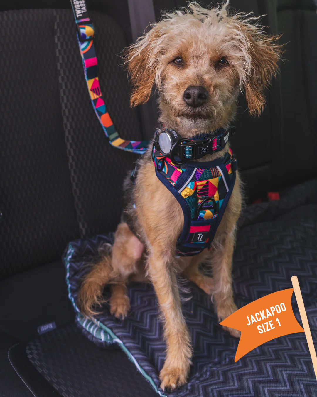 Twiggy Tags Harness Aurora