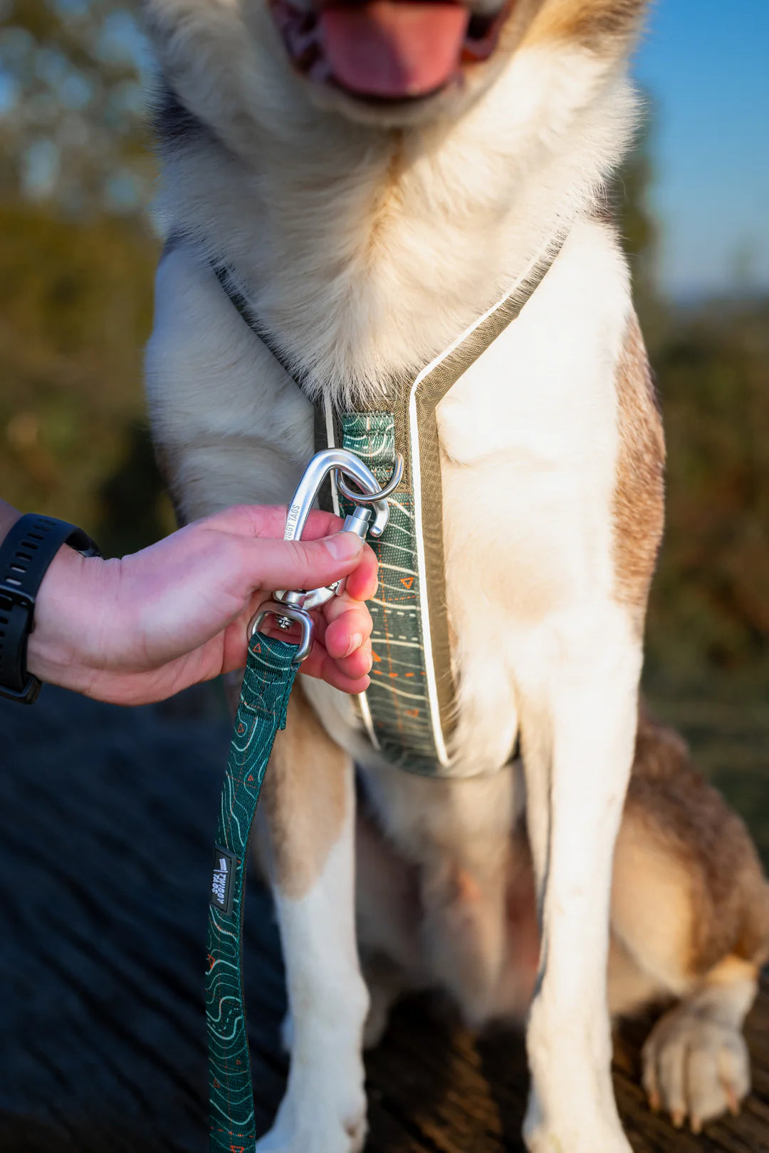 Twiggy Tags Apex Lead 2m - Nomad