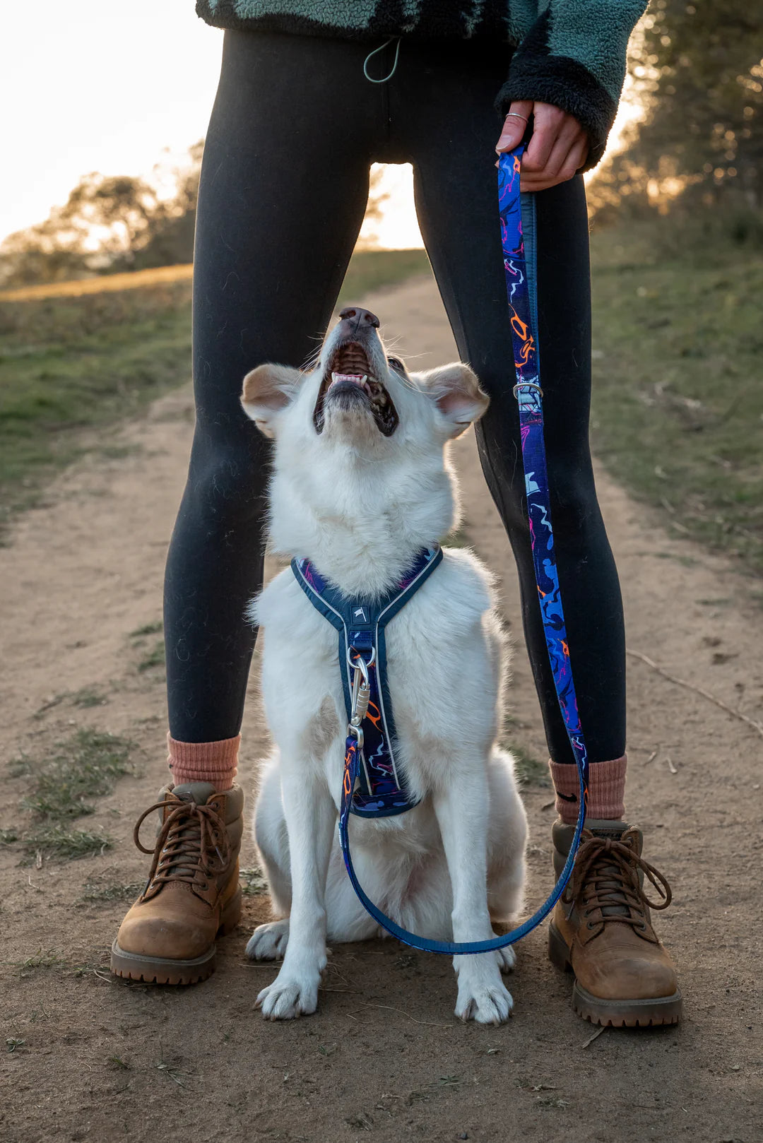 Twiggy Tags Apex Lead 1.2m - Nebula