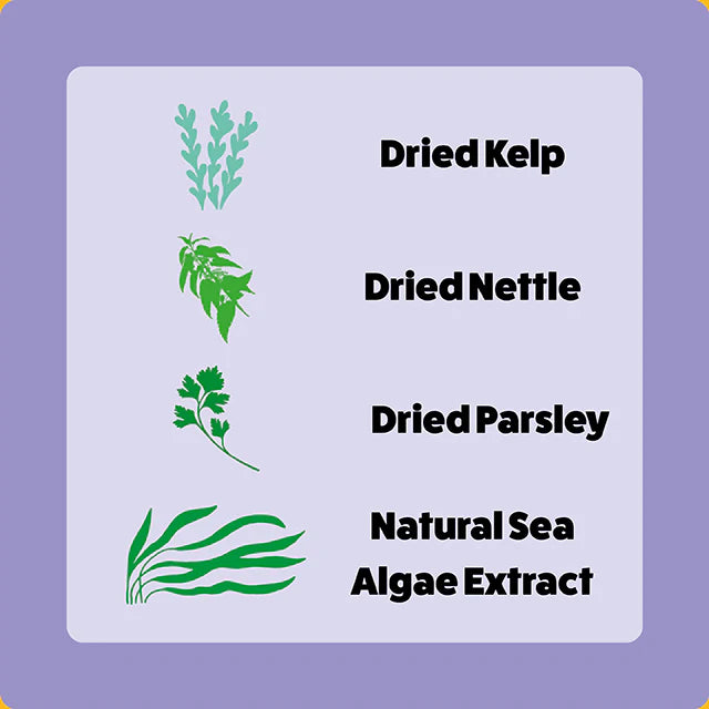 Axels Elixir Buffalo Happy Bones