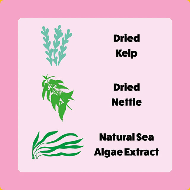 Axels Elixir Salmon Happy Bones